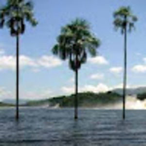 Meet your Posher, Carlos